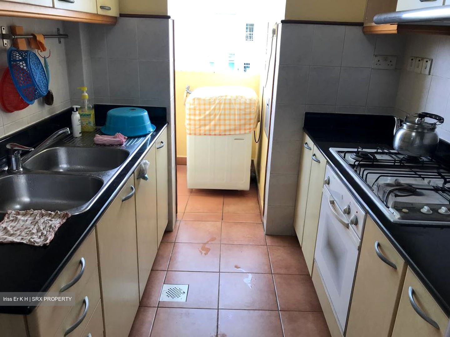 Euphony Gardens (D27), Condominium #481731371